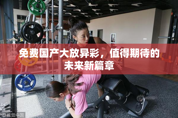免费国产大放异彩，值得期待的未来新篇章