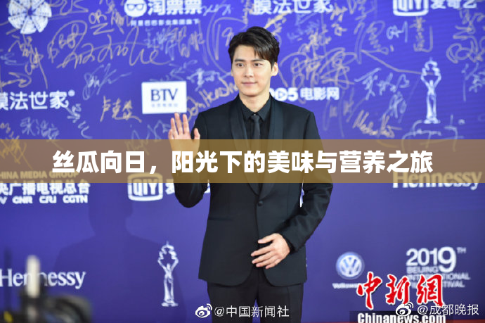 丝瓜向日，阳光下的美味与营养之旅