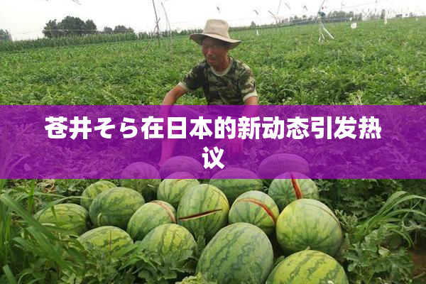 苍井そら在日本的新动态引发热议
