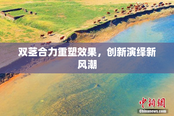 双茎合力重塑效果，创新演绎新风潮