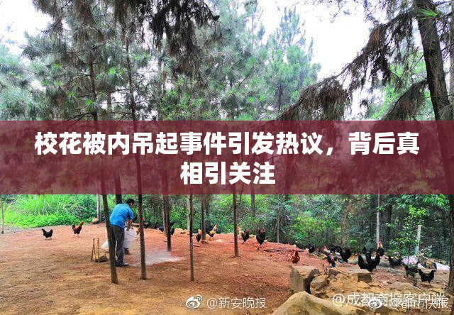 校花被内吊起事件引发热议，背后真相引关注