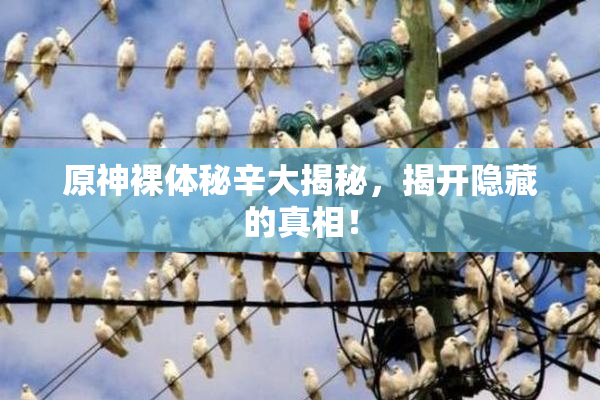 原神裸体秘辛大揭秘，揭开隐藏的真相！