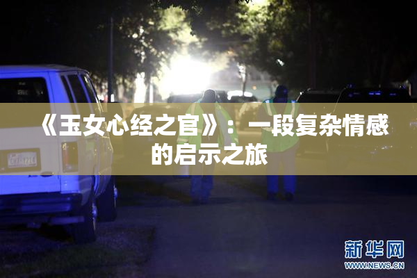 《玉女心经之官》：一段复杂情感的启示之旅