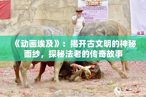 《动画埃及》：揭开古文明的神秘面纱，探秘法老的传奇故事