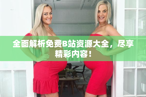 全面解析免费B站资源大全，尽享精彩内容！