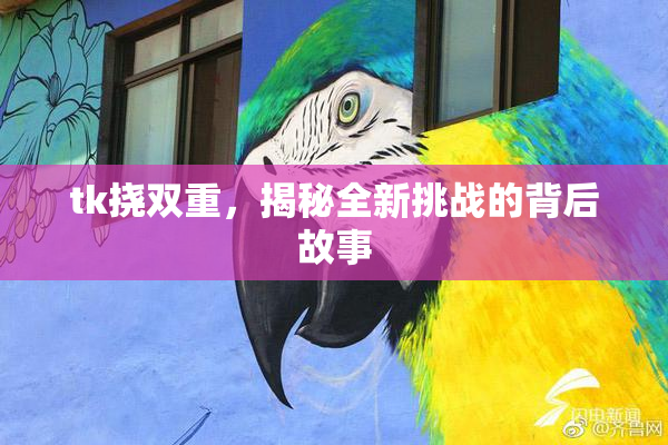 tk挠双重，揭秘全新挑战的背后故事