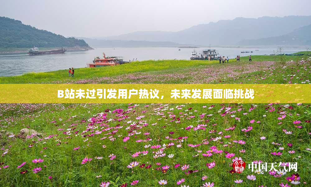 B站未过引发用户热议，未来发展面临挑战