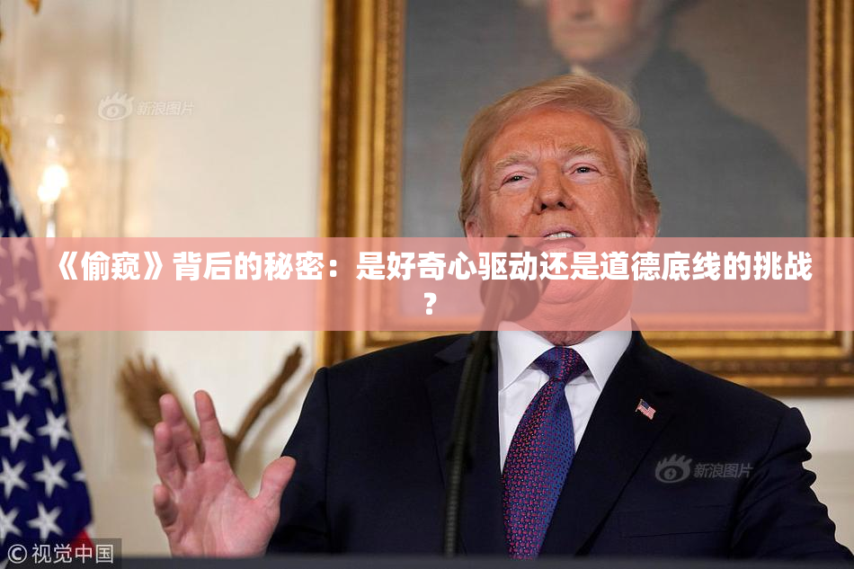 《偷窥》背后的秘密：是好奇心驱动还是道德底线的挑战？