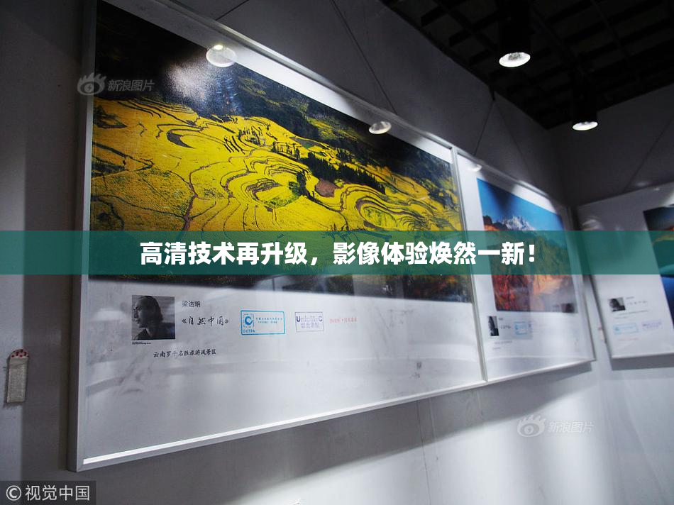 高清技术再升级，影像体验焕然一新！
