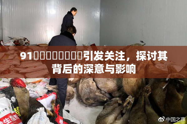 91❌‌❌‌❌‌❌‌引发关注，探讨其背后的深意与影响