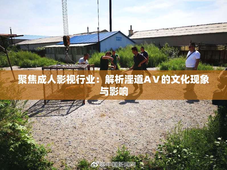 聚焦成人影视行业：解析淫道AⅤ的文化现象与影响