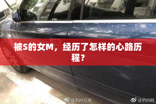 被S的女M，经历了怎样的心路历程？