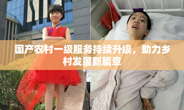 国产农村一级服务持续升级，助力乡村发展新篇章
