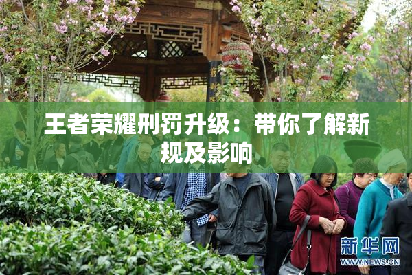 王者荣耀刑罚升级：带你了解新规及影响