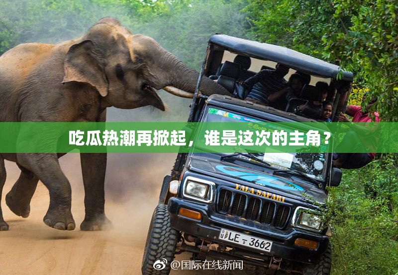 吃瓜热潮再掀起，谁是这次的主角？