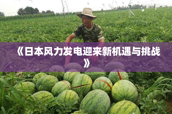 《日本风力发电迎来新机遇与挑战》