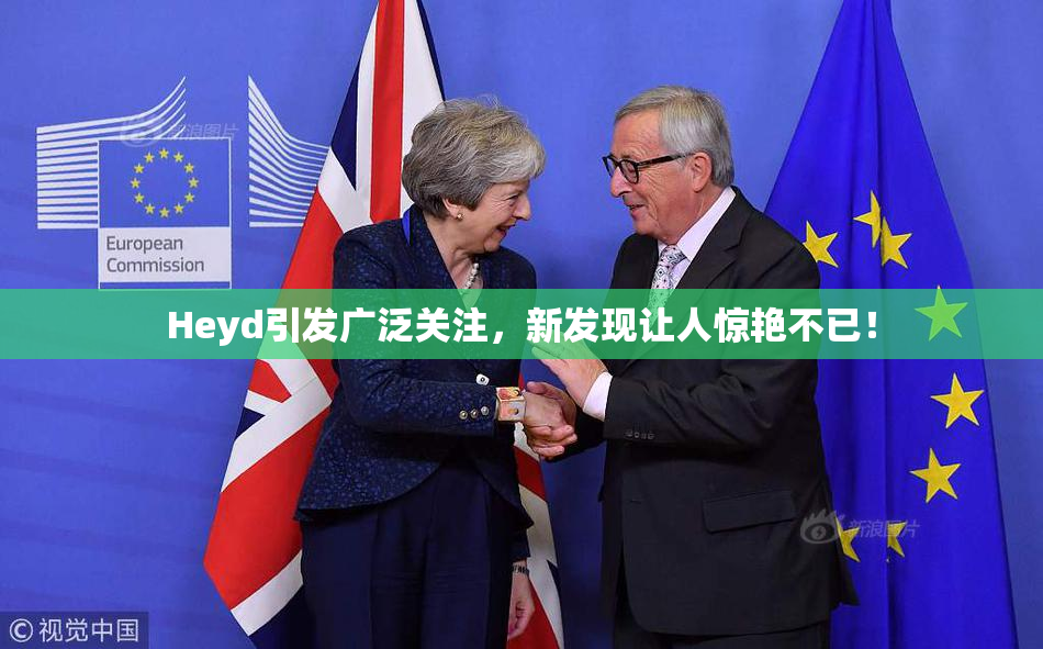 Heyd引发广泛关注，新发现让人惊艳不已！