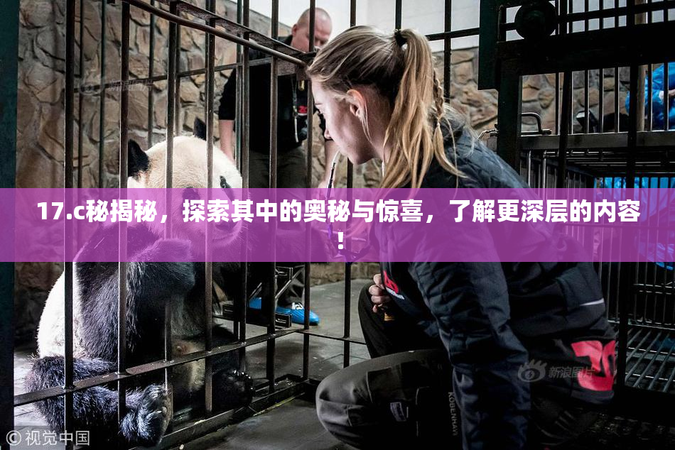 17.c秘揭秘，探索其中的奥秘与惊喜，了解更深层的内容！