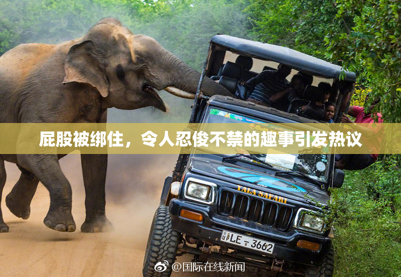 屁股被绑住，令人忍俊不禁的趣事引发热议