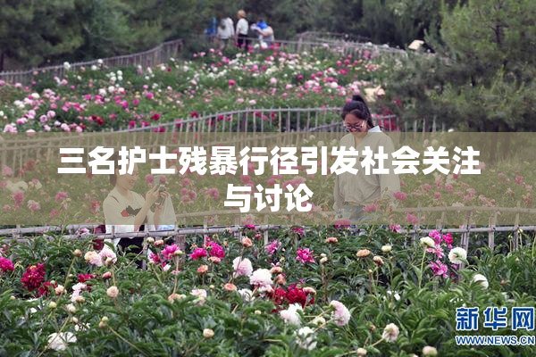 三名护士残暴行径引发社会关注与讨论