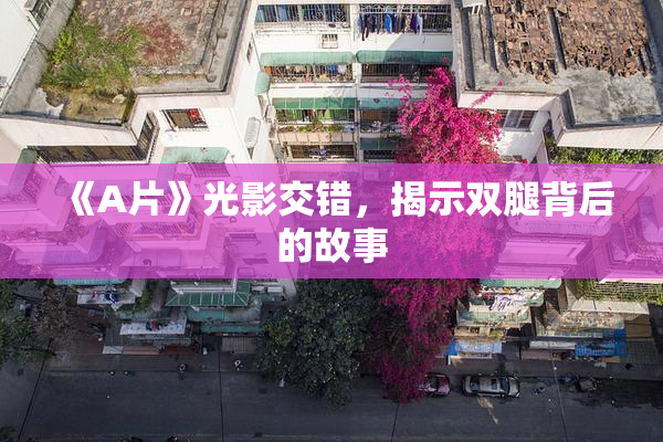 《A片》光影交错，揭示双腿背后的故事