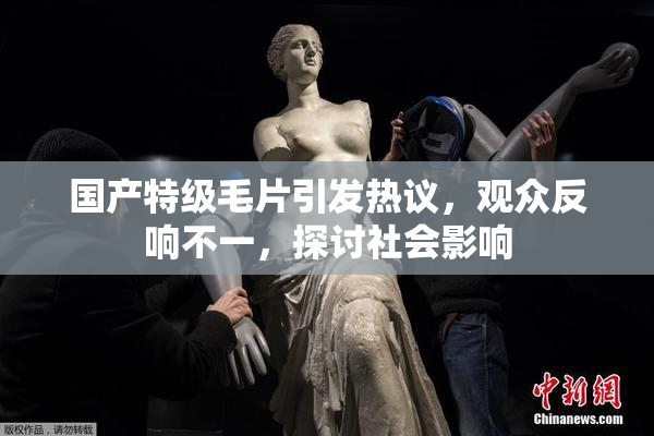 国产特级毛片引发热议，观众反响不一，探讨社会影响