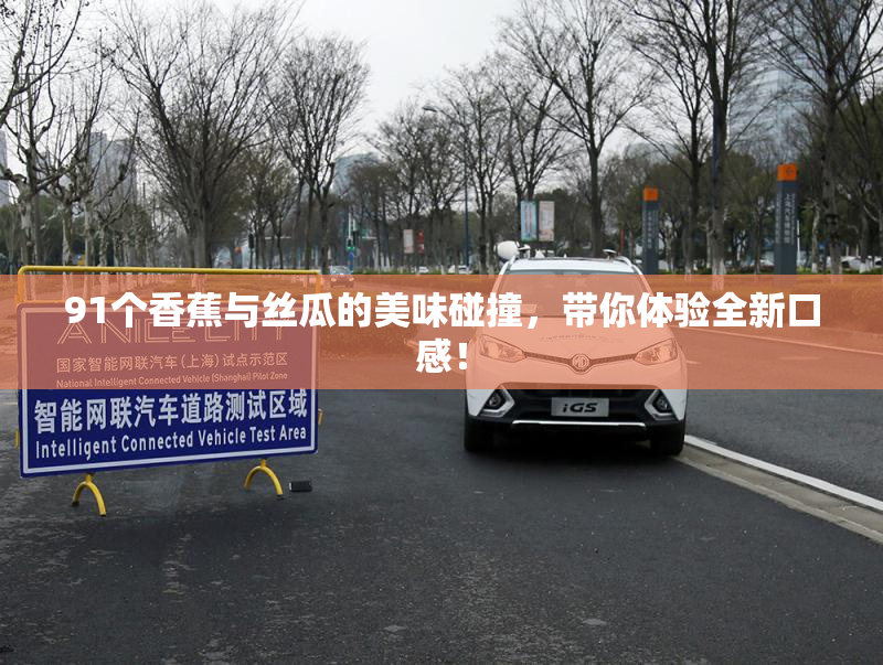 91个香蕉与丝瓜的美味碰撞，带你体验全新口感！
