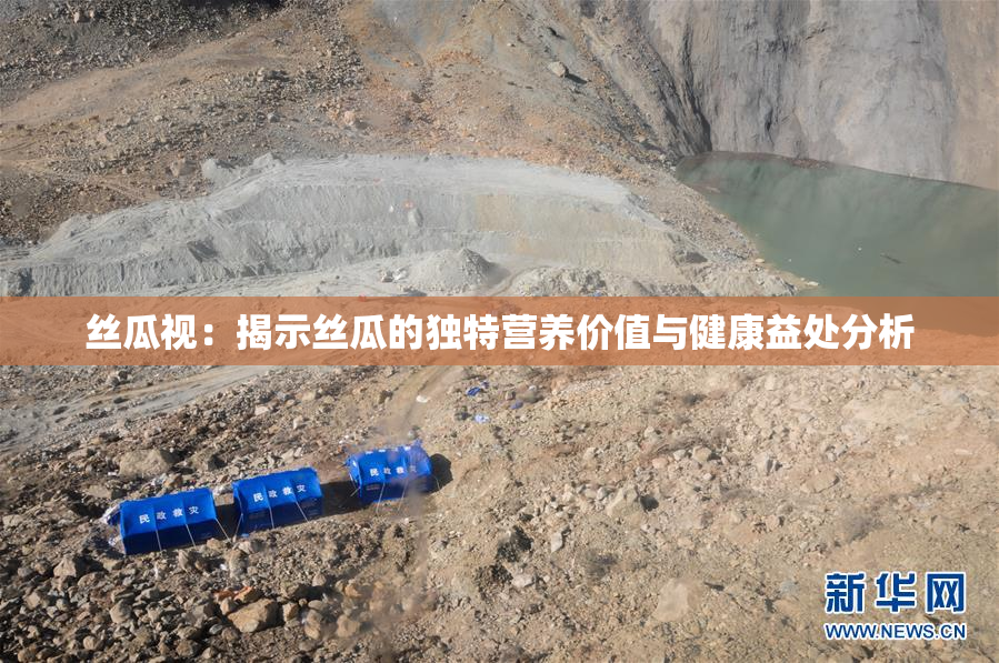 丝瓜视：揭示丝瓜的独特营养价值与健康益处分析