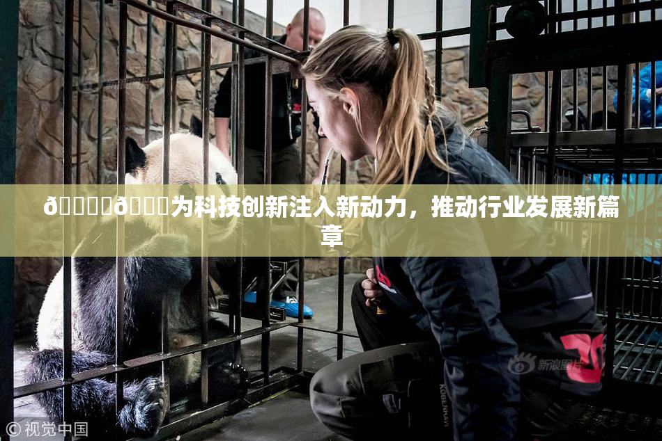 🔞‌🍌为科技创新注入新动力，推动行业发展新篇章