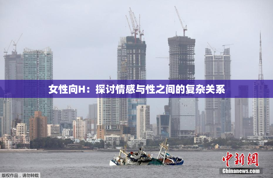 女性向H：探讨情感与性之间的复杂关系