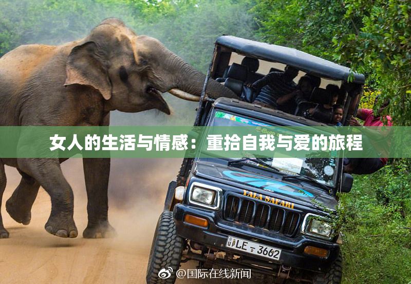 女人的生活与情感：重拾自我与爱的旅程