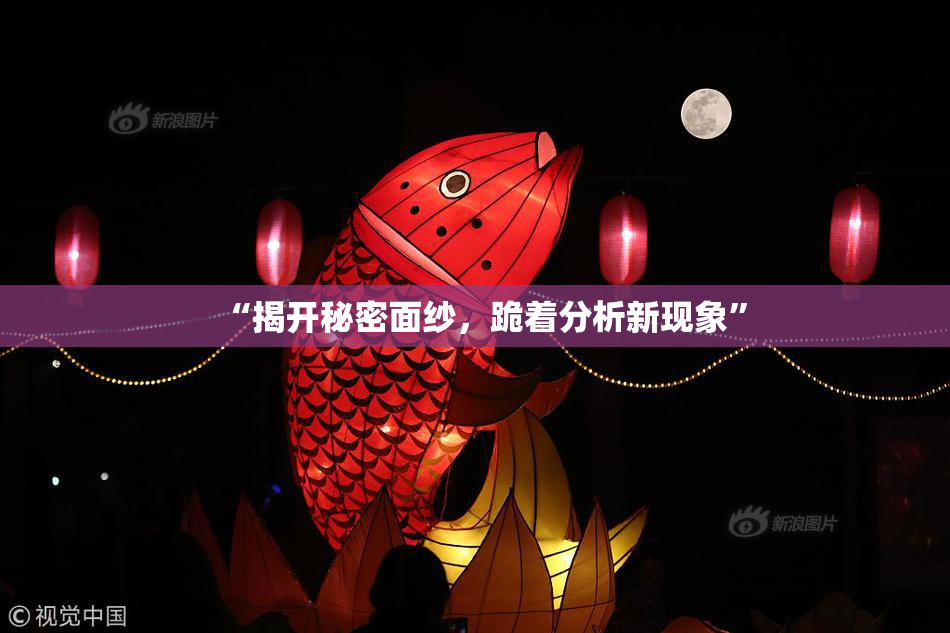 “揭开秘密面纱，跪着分析新现象”