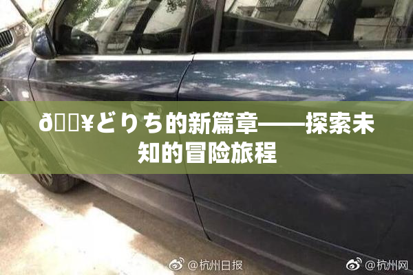 🔥どりち的新篇章——探索未知的冒险旅程