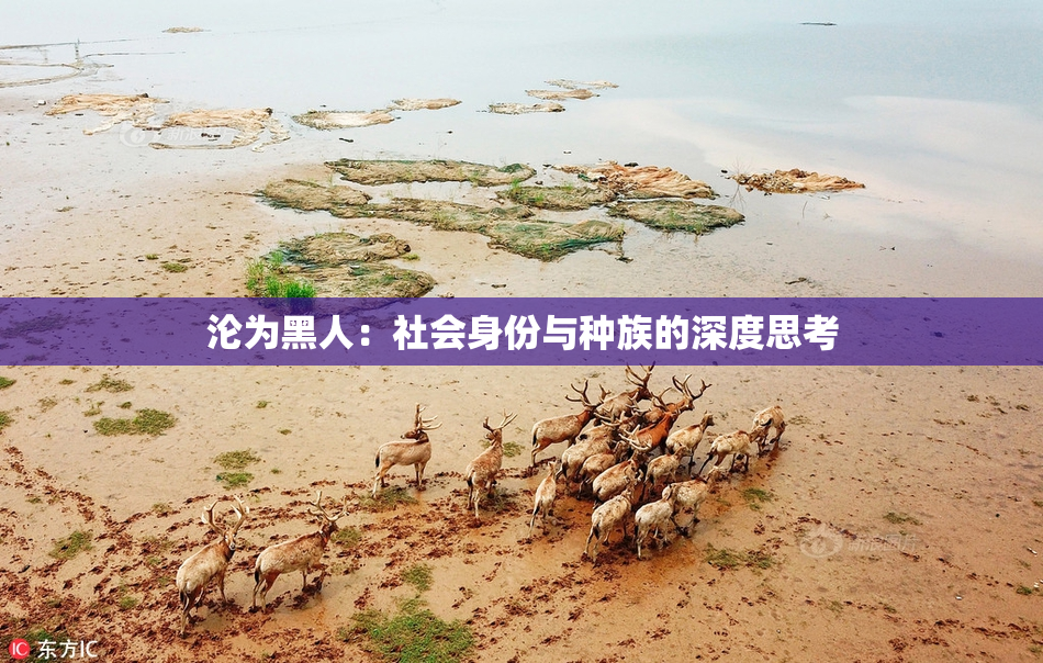 沦为黑人：社会身份与种族的深度思考