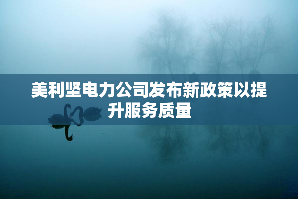 美利坚电力公司发布新政策以提升服务质量
