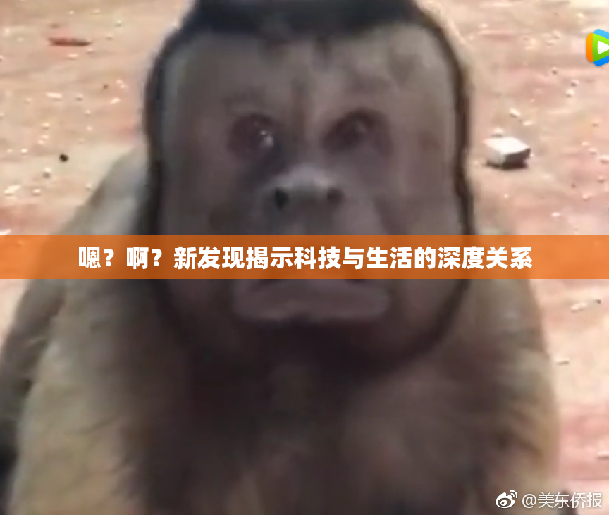 嗯？啊？新发现揭示科技与生活的深度关系