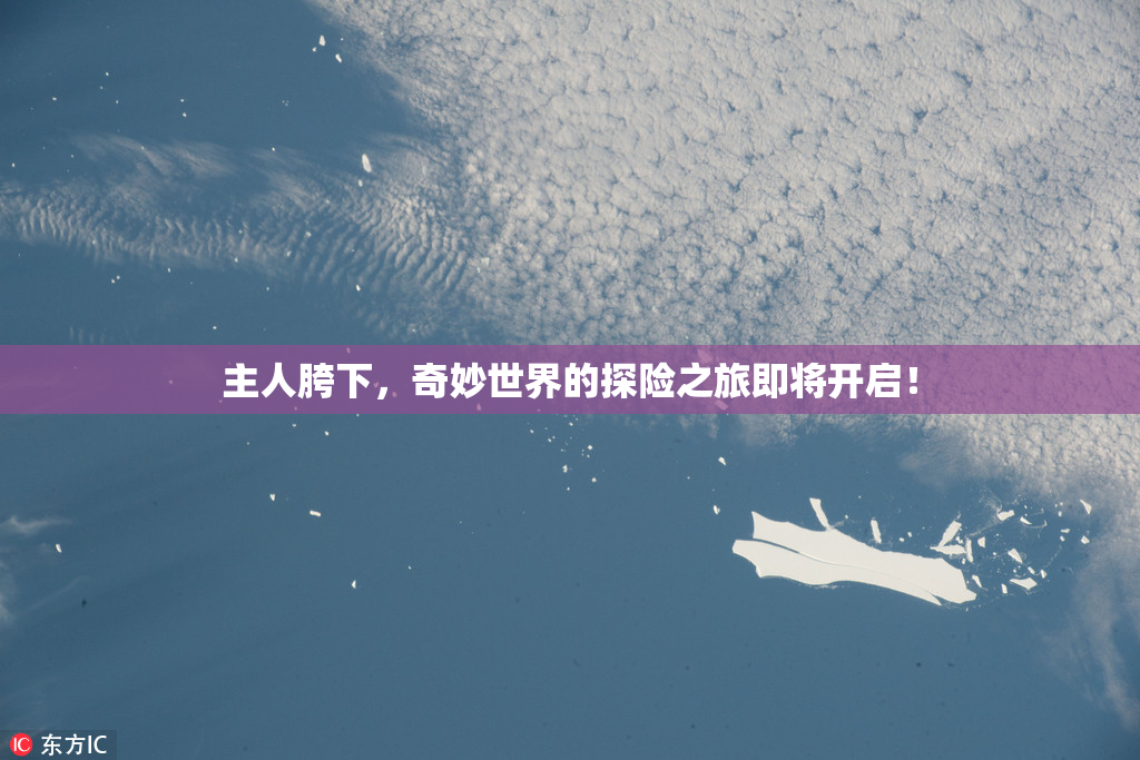 主人胯下，奇妙世界的探险之旅即将开启！