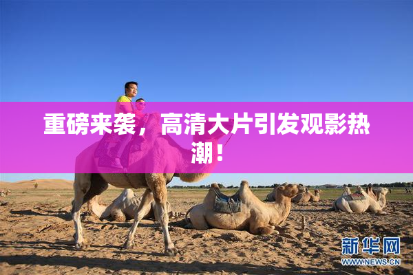 重磅来袭，高清大片引发观影热潮！