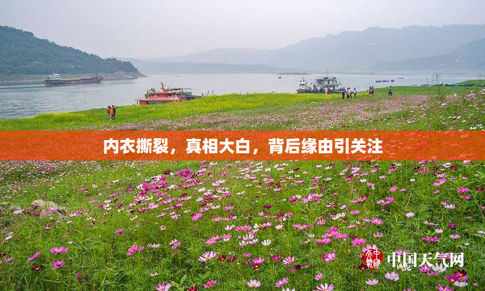 内衣撕裂，真相大白，背后缘由引关注