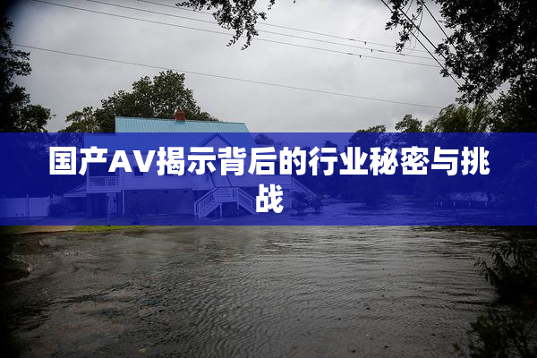 国产AV揭示背后的行业秘密与挑战