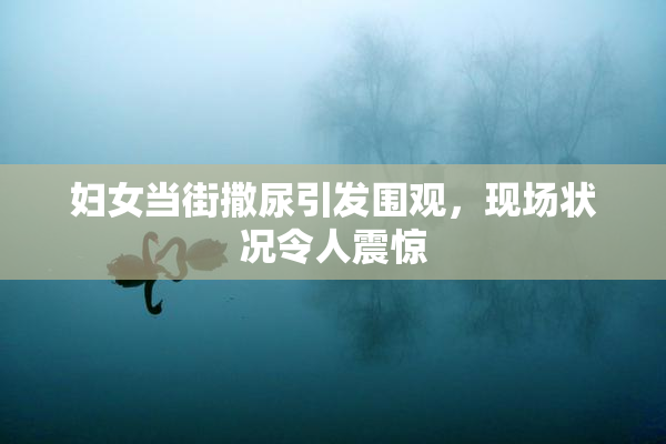 妇女当街撒尿引发围观，现场状况令人震惊