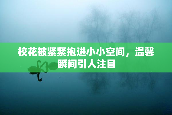 校花被紧紧抱进小小空间，温馨瞬间引人注目