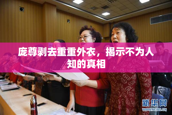 庞尊剥去重重外衣，揭示不为人知的真相