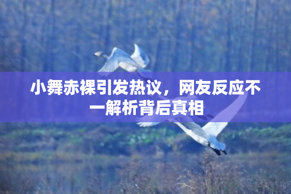 小舞赤裸引发热议，网友反应不一解析背后真相
