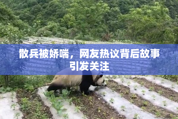 散兵被娇喘，网友热议背后故事引发关注