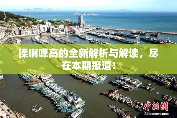 揉啊嗯高的全新解析与解读，尽在本期报道！