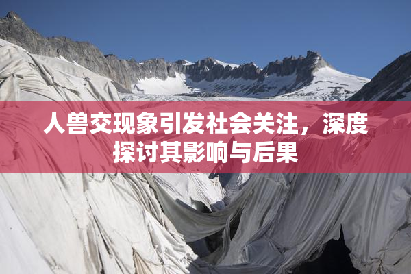 人兽交现象引发社会关注，深度探讨其影响与后果