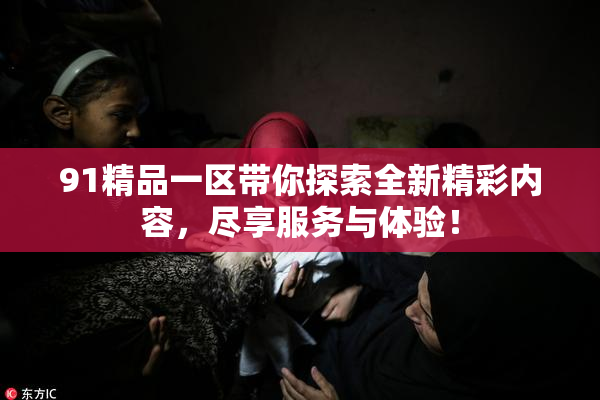 91精品一区带你探索全新精彩内容，尽享服务与体验！