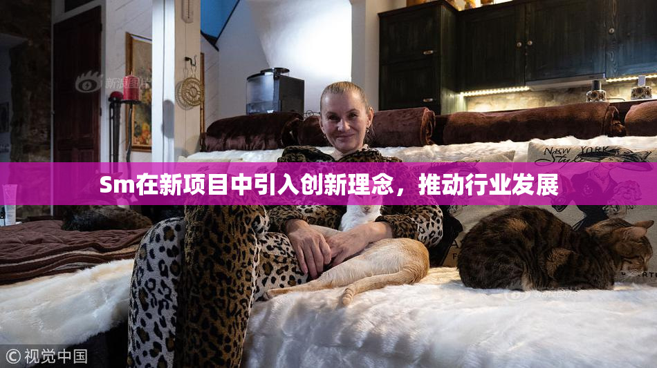 Sm在新项目中引入创新理念，推动行业发展