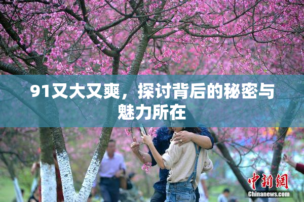 91又大又爽，探讨背后的秘密与魅力所在